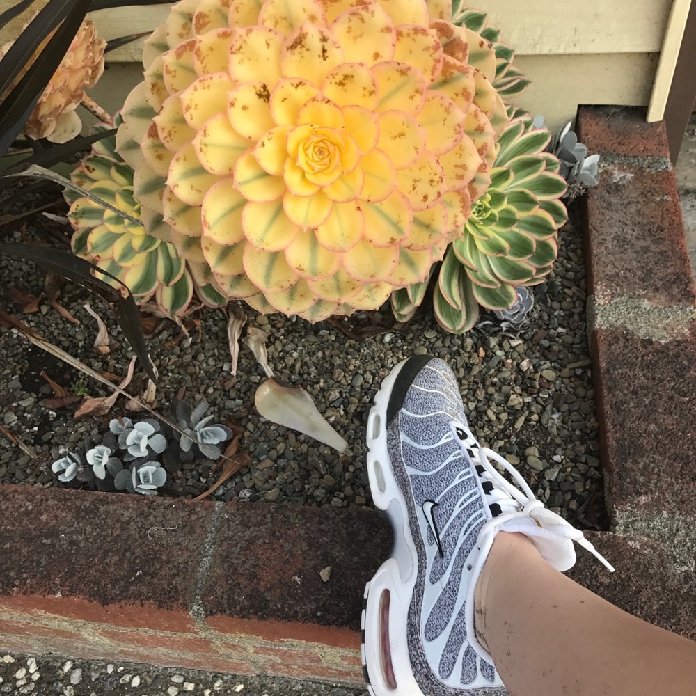 👟 Just do it 👟